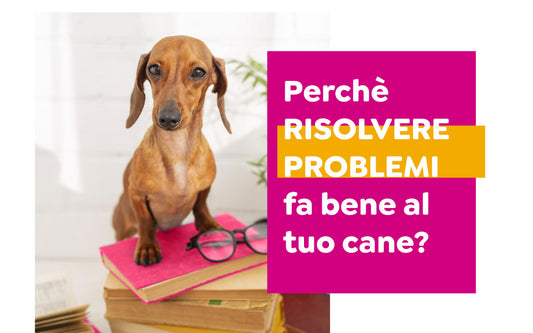 modi in cui l'attività mentale e il problem solving migliorano la vita del cane