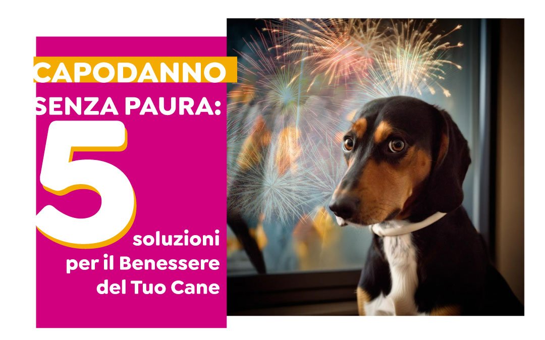 Capodanno Senza Paura: 5 Soluzioni per il Benessere del Tuo Cane - Skillypez