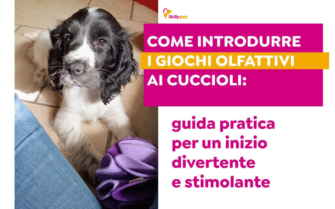 Come introdurre i giochi olfattivi ai cuccioli: guida pratica per un inizio divertente e stimolante - Skillypez