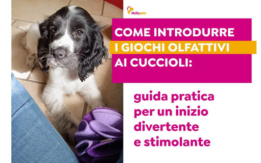 Come introdurre i giochi olfattivi ai cuccioli: guida pratica per un inizio divertente e stimolante - Skillypez