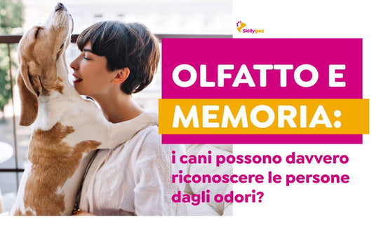 Olfatto e memoria: i cani possono davvero riconoscere le persone dagli odori? - Skillypez