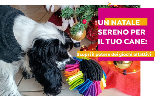 Un Natale sereno per il tuo Cane: Scopri il potere dei giochi olfattivi - Skillypez