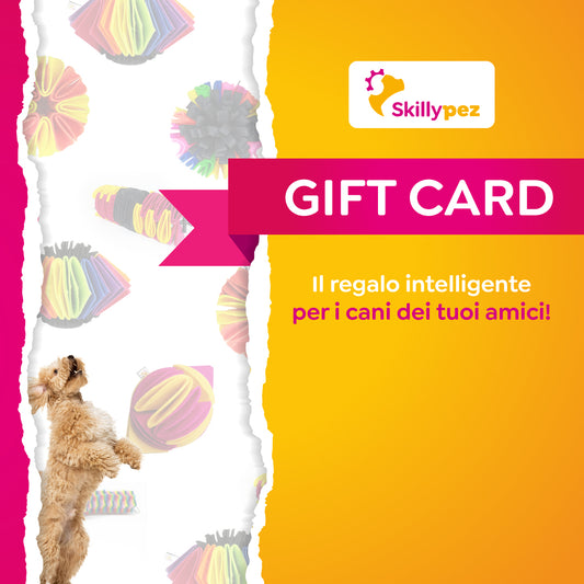 Gift Card Skillypez