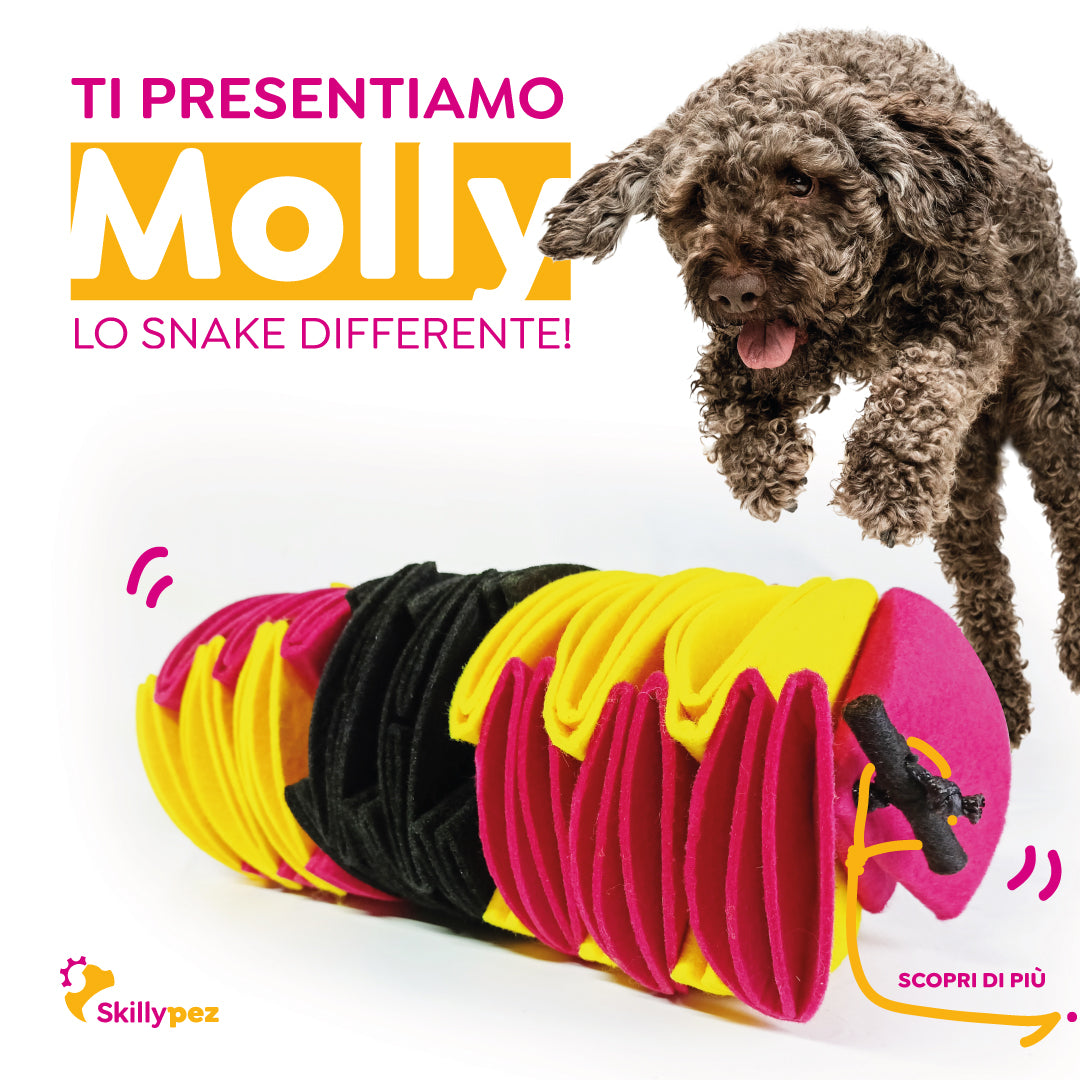 Molly (Gioco snake olfattivo per cani) – Skillypez